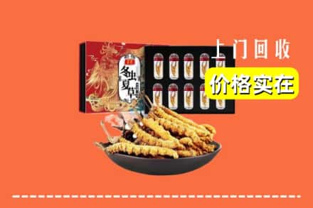 济宁市泗水回收冬虫夏草
