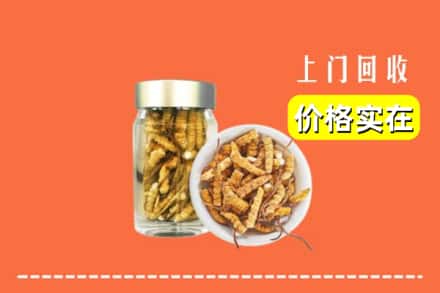 济宁市泗水回收散虫草