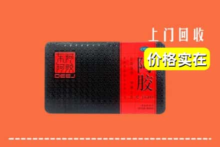 济宁市泗水回收阿胶