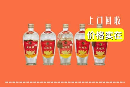 济宁市泗水回收老五粮液